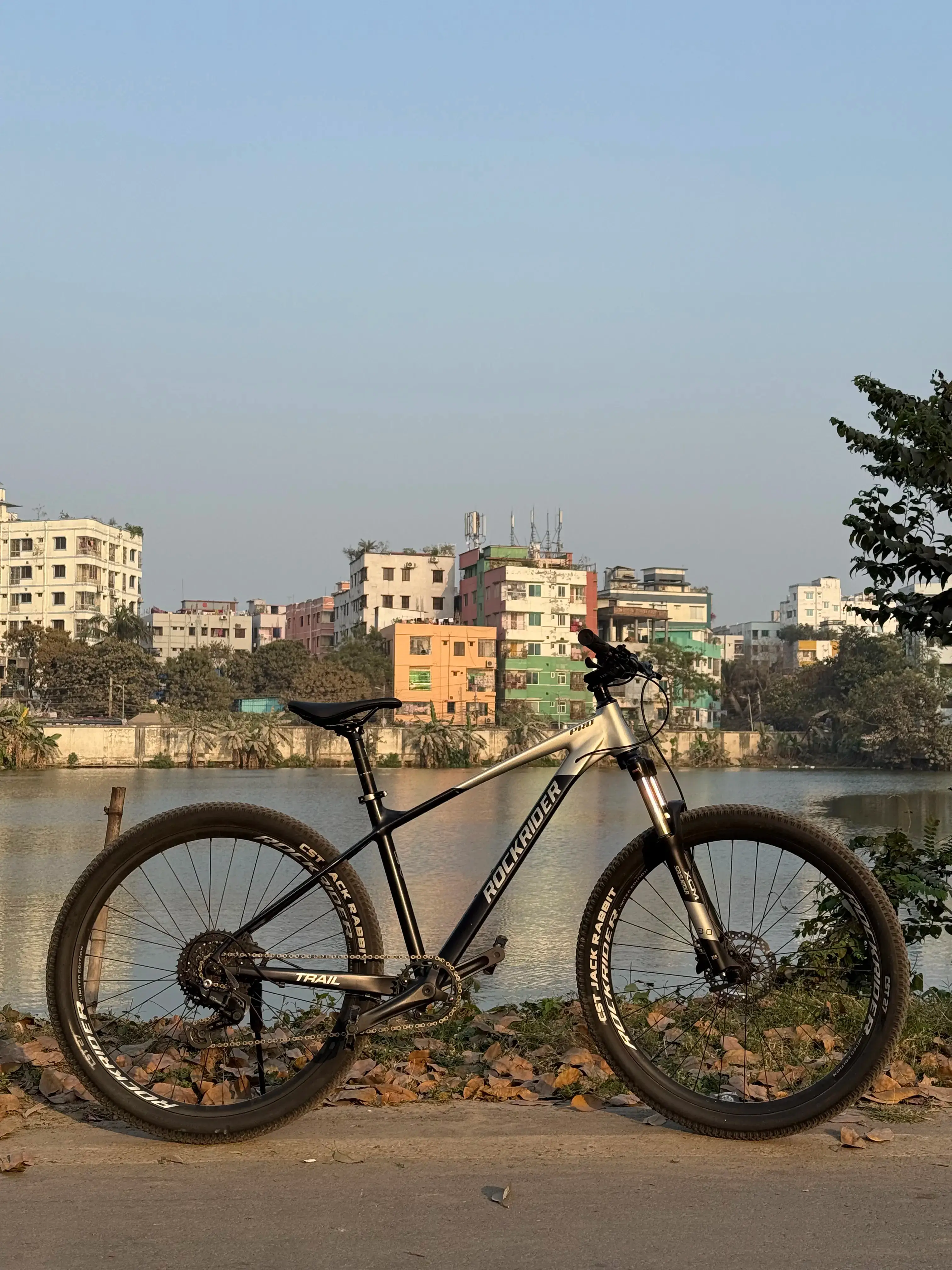 My Cycle