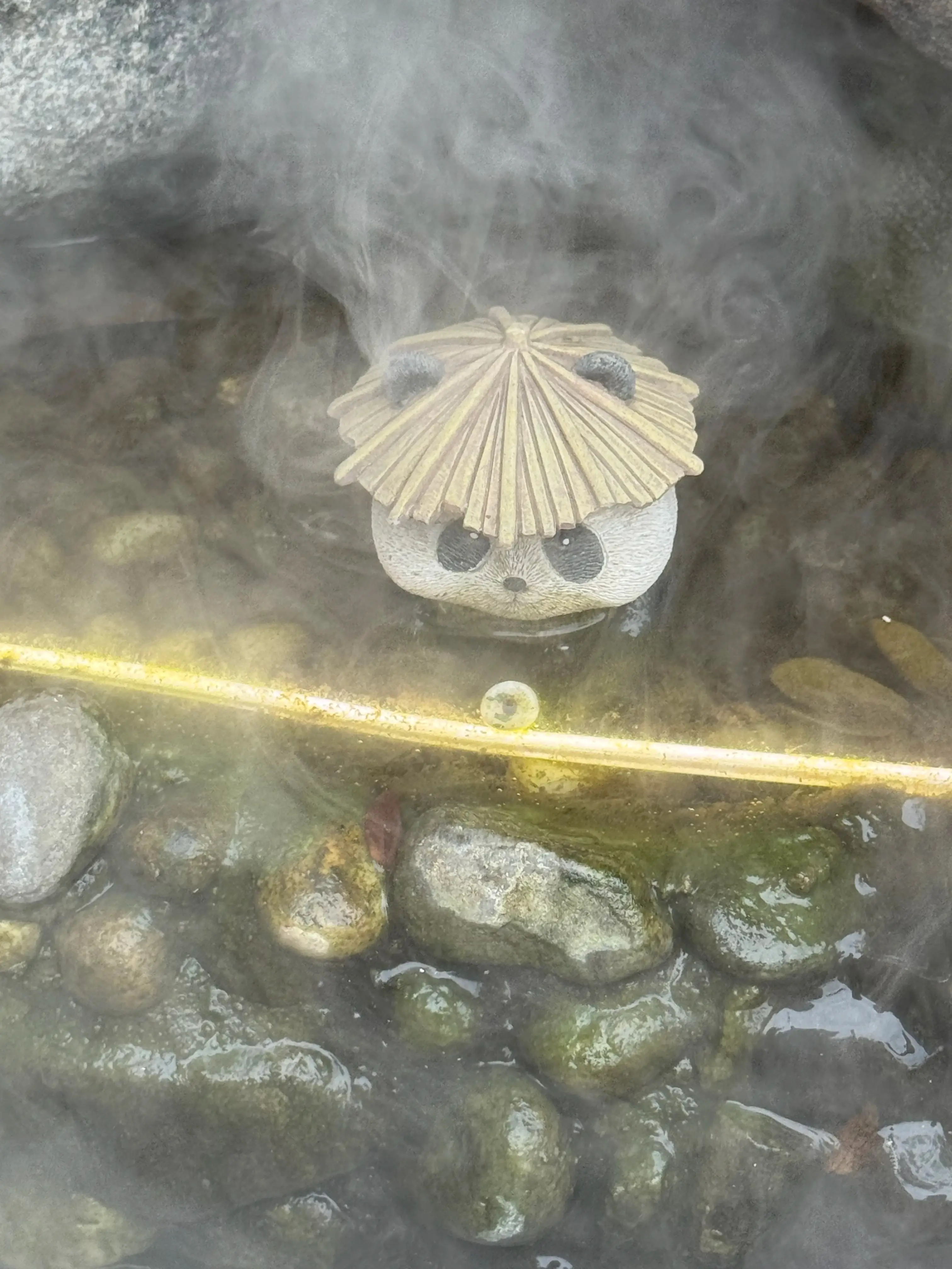 Steamy Panda